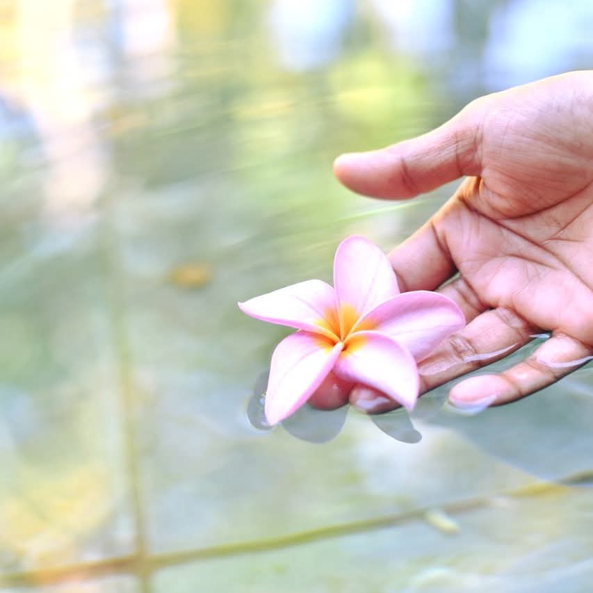 beachtag's tweet photo. ๐บSpa Beachcomber - The art of being beautifully wellโผ
Beachcomber spas take a holistic approach to wellness.
Each spa is positioned in a serene area of the respective resort - a location that guests can retreat to with the purpose of relaxing and rejuvenating. https://t.co/njvic2eIW4
