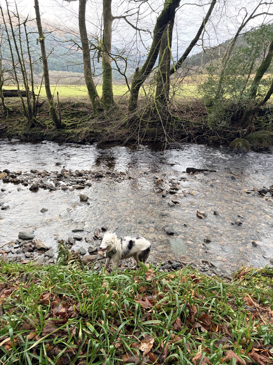 𝒯𝓇𝒶𝒸𝓉𝑜𝓇𝑔𝒾𝓇𝓁𝓎 🇬🇧🚜 💚🤍💜 tweet media