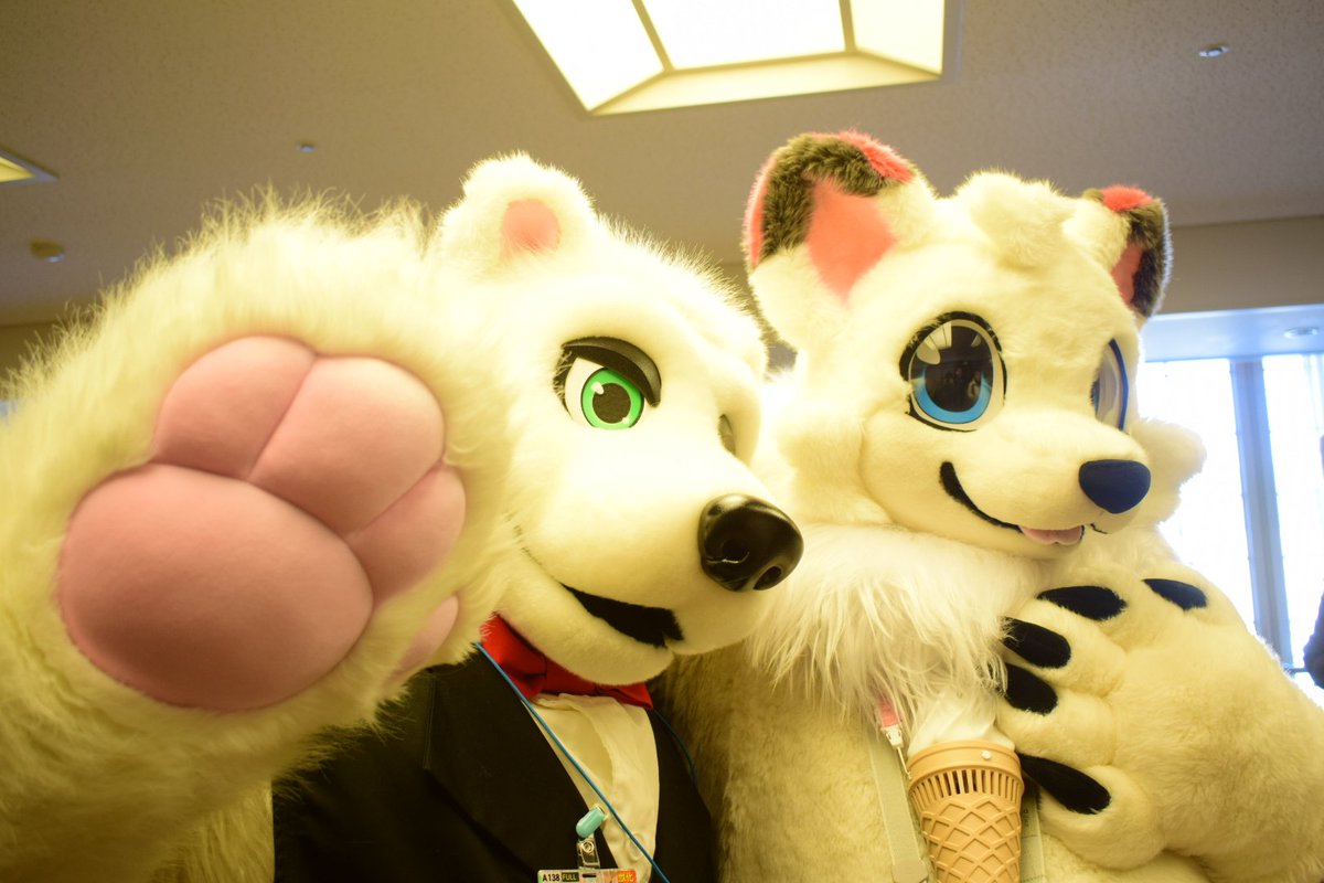 たこぶえ tweet media