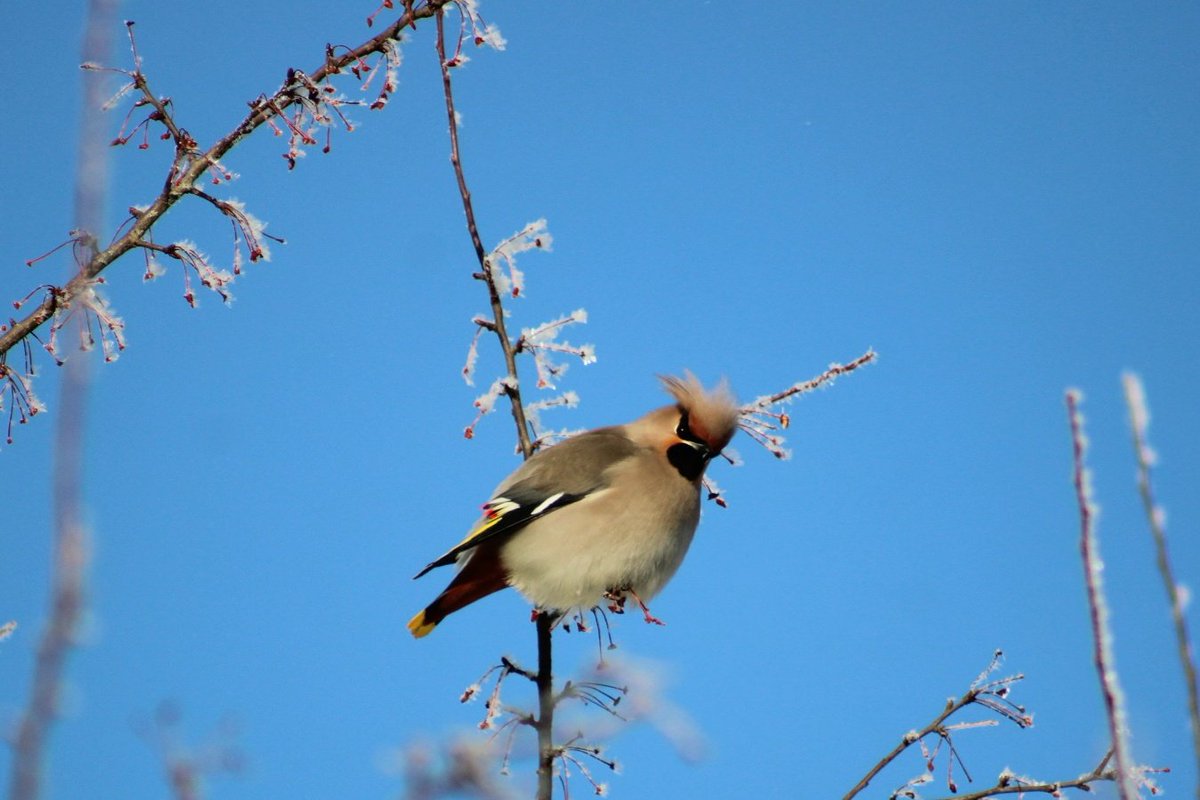 Inese Zepa tweet media