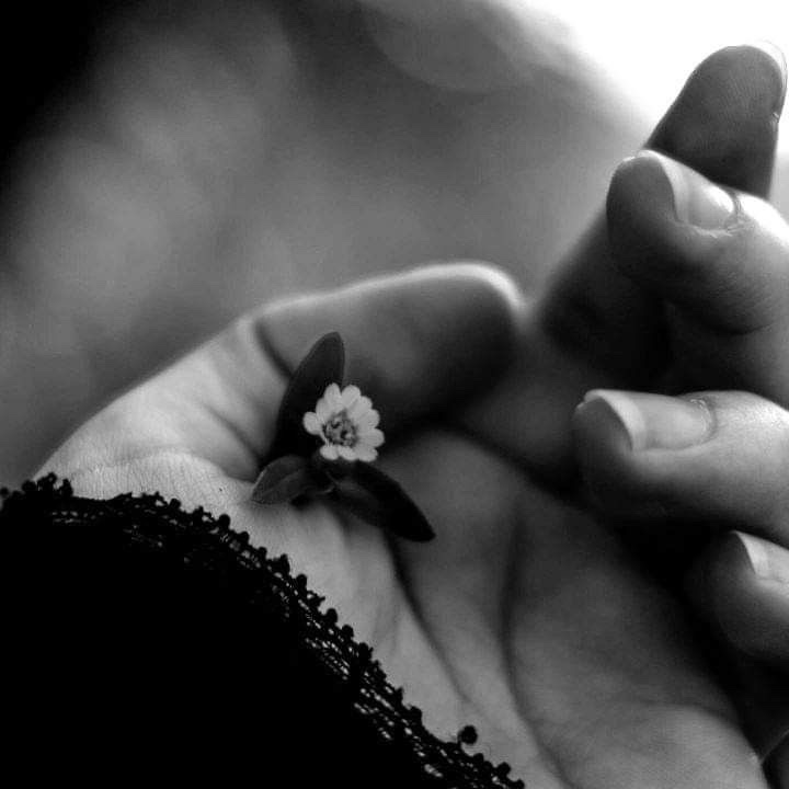 المــذهــلهہ.. tweet media