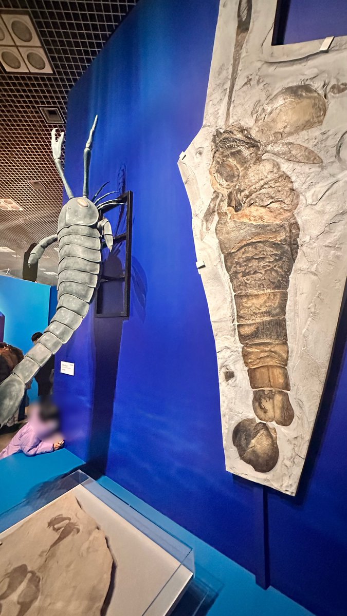 大絶滅展に行ってきました！ 想像していた以上の展示数で圧倒され