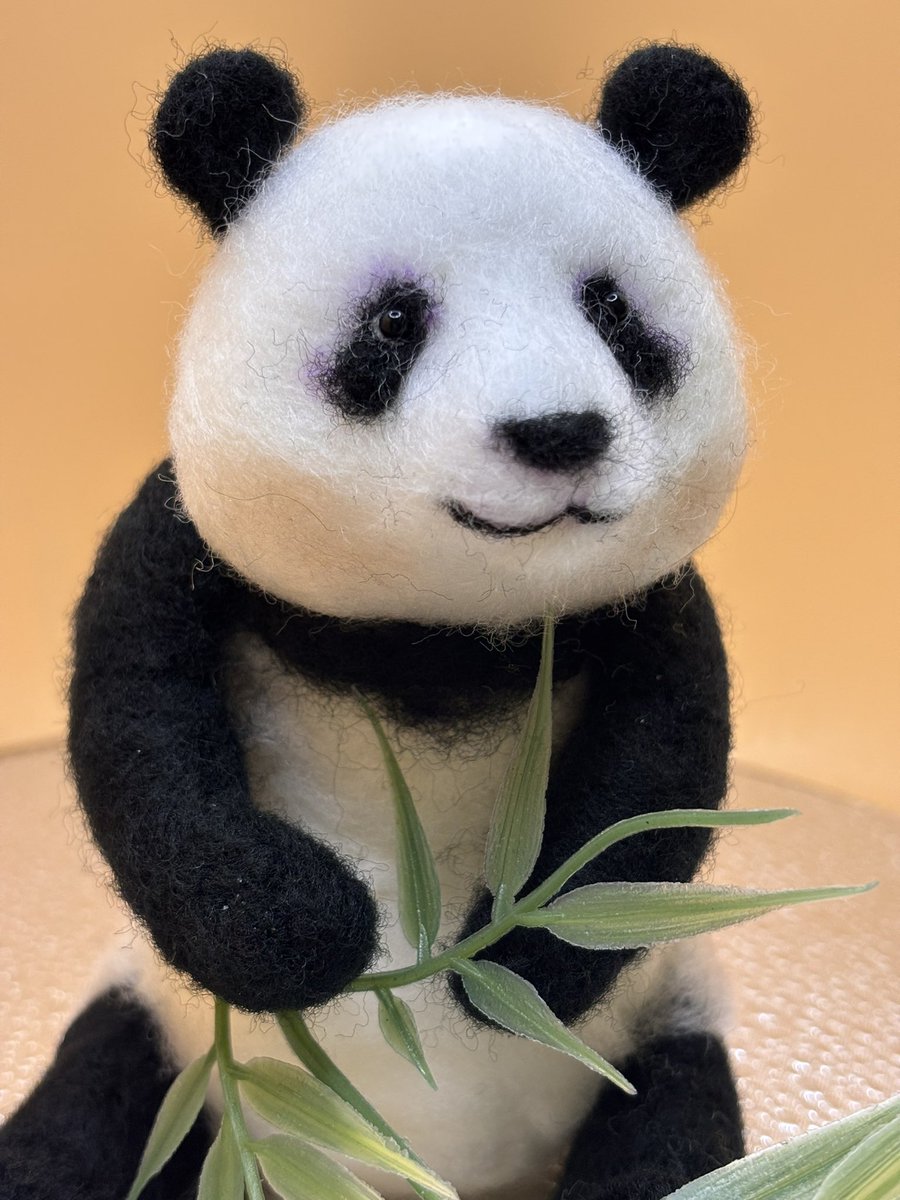 ちーじー🐼🌼 (@mutasokj) / Posts / X