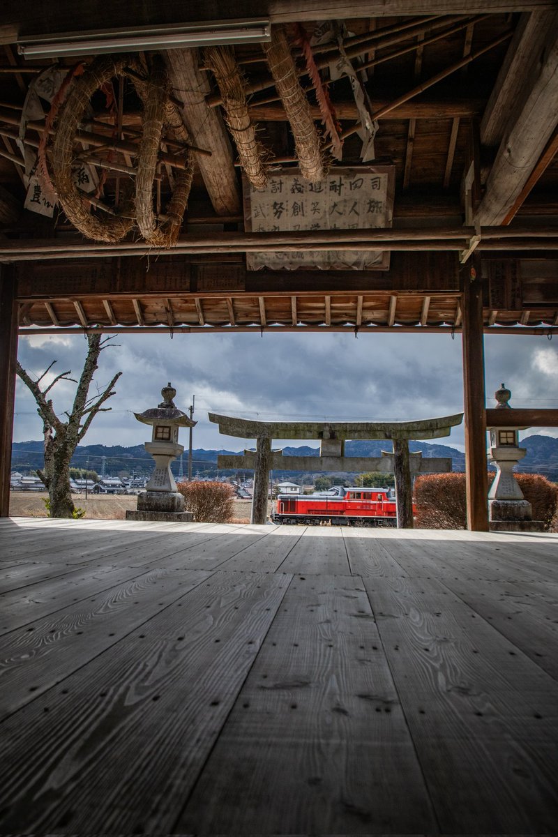 のっちっち tweet media