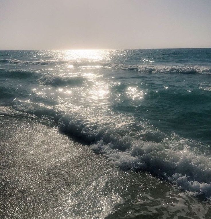 hawsett4's tweet image. 