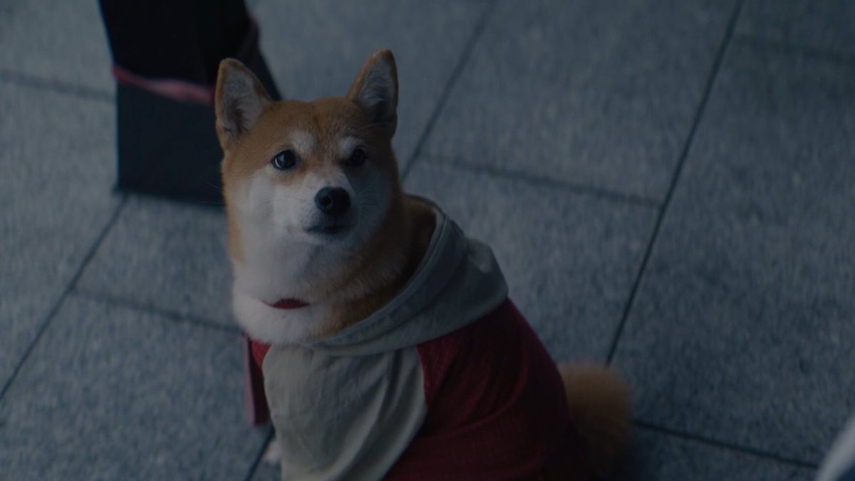 findinglamp's tweet image. 네옷맞어? ㅠㅠ