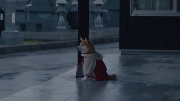 findinglamp's tweet image. 네옷맞어? ㅠㅠ