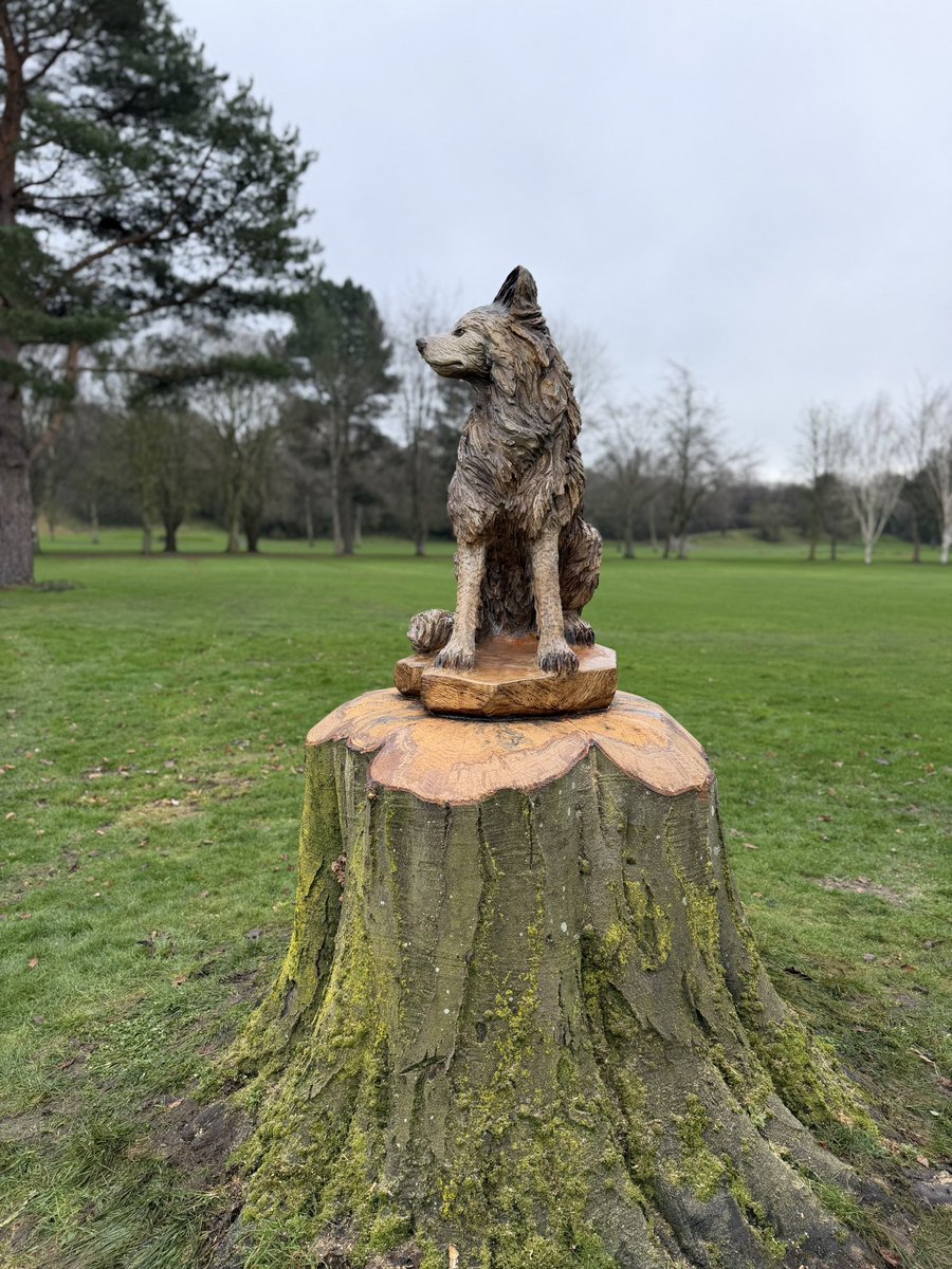 Andy Burgess tweet media