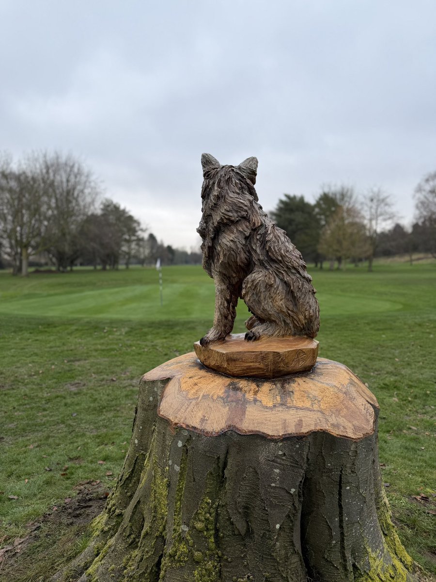 Andy Burgess tweet media