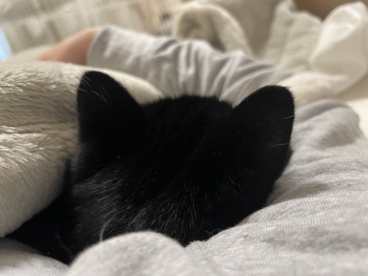 たろう (@taro20216) / Posts / X