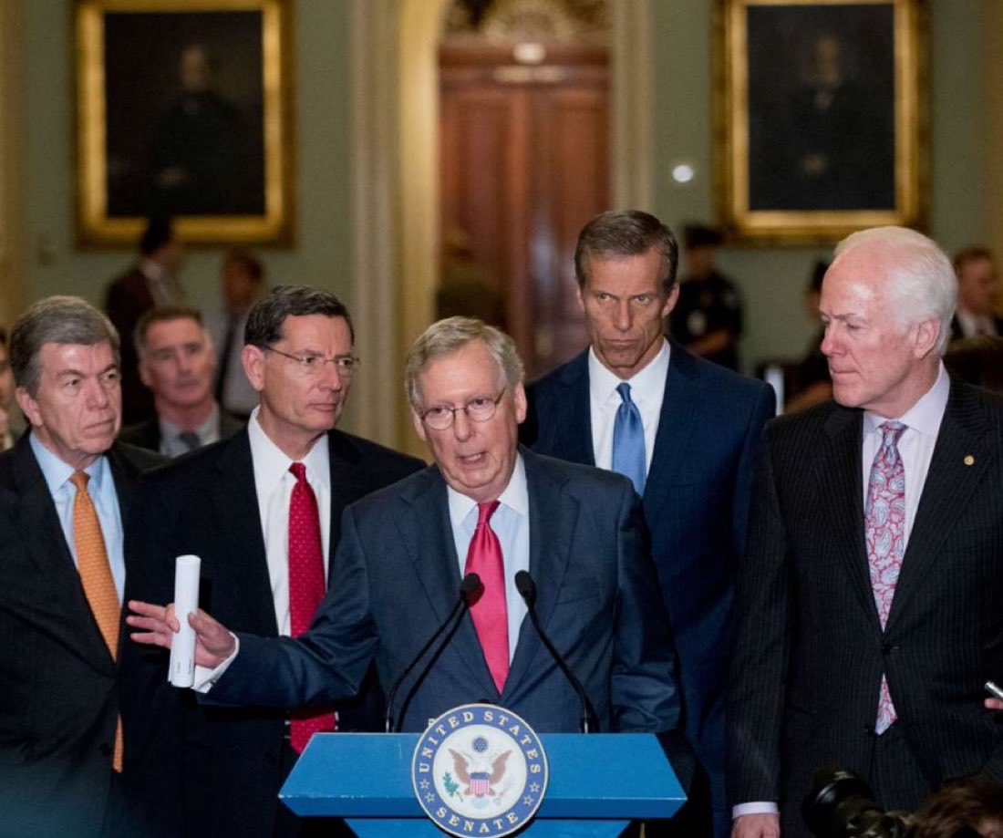 Do you support Primarying every RINO who votes against the SAVE Act mandating Voter ID’s ?