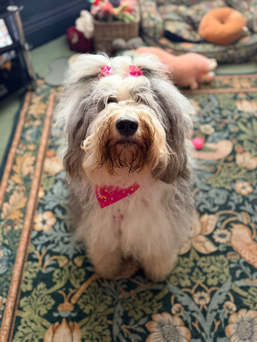 Ian Moore🇺🇦 tweet media