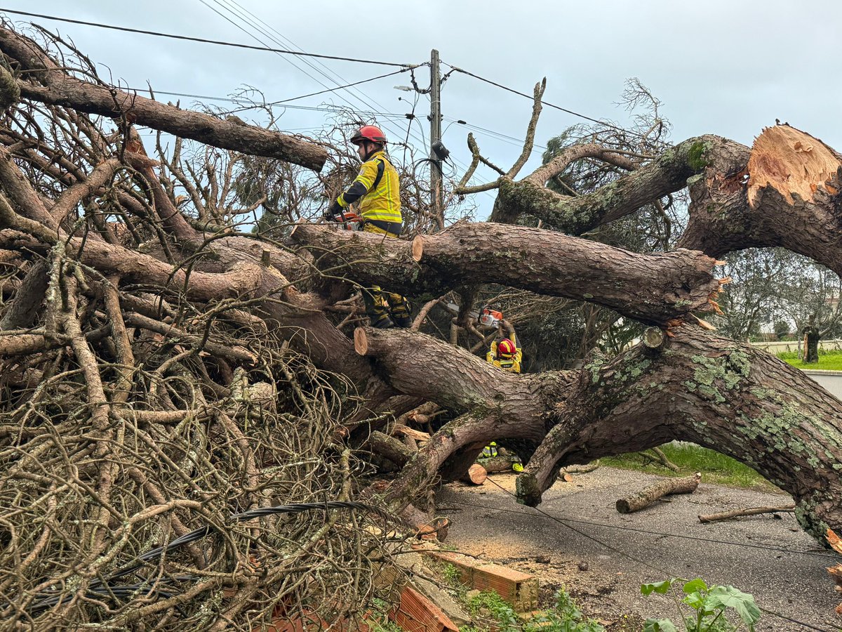 ProteccaoCivil's tweet photo. Nos últimos dias, a #FEPC da @ProteccaoCivil esteve no terreno em Ourém, Leiria, Pombal e Marinha Grande, com operações de desobstrução de vias, reforço da rede SIRESP e monitorização das áreas afectadas, com recurso a drones.
As acções envolveram cerca de 100 operacionais. https://t.co/AX7KrXJPJk