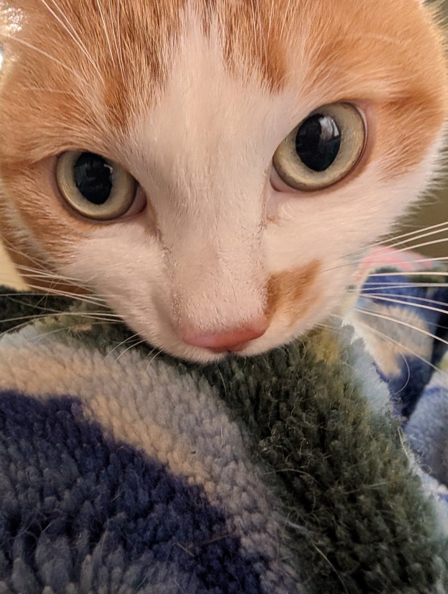 ふみ (@xAzwizeAQXhHvPi) / Posts / X