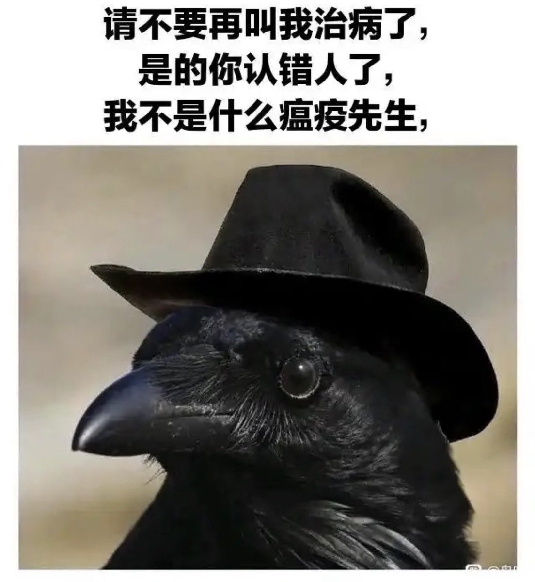 鸦片鱼 tweet media