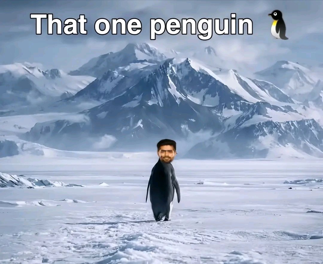 Laiba_houn_yr's tweet image. #AusvPak
That one penguin with "110 SR" in t20I tournaments 🇿🇼😭🤐
#T20WorldCup2026 #IndvsPak #BabarAzam