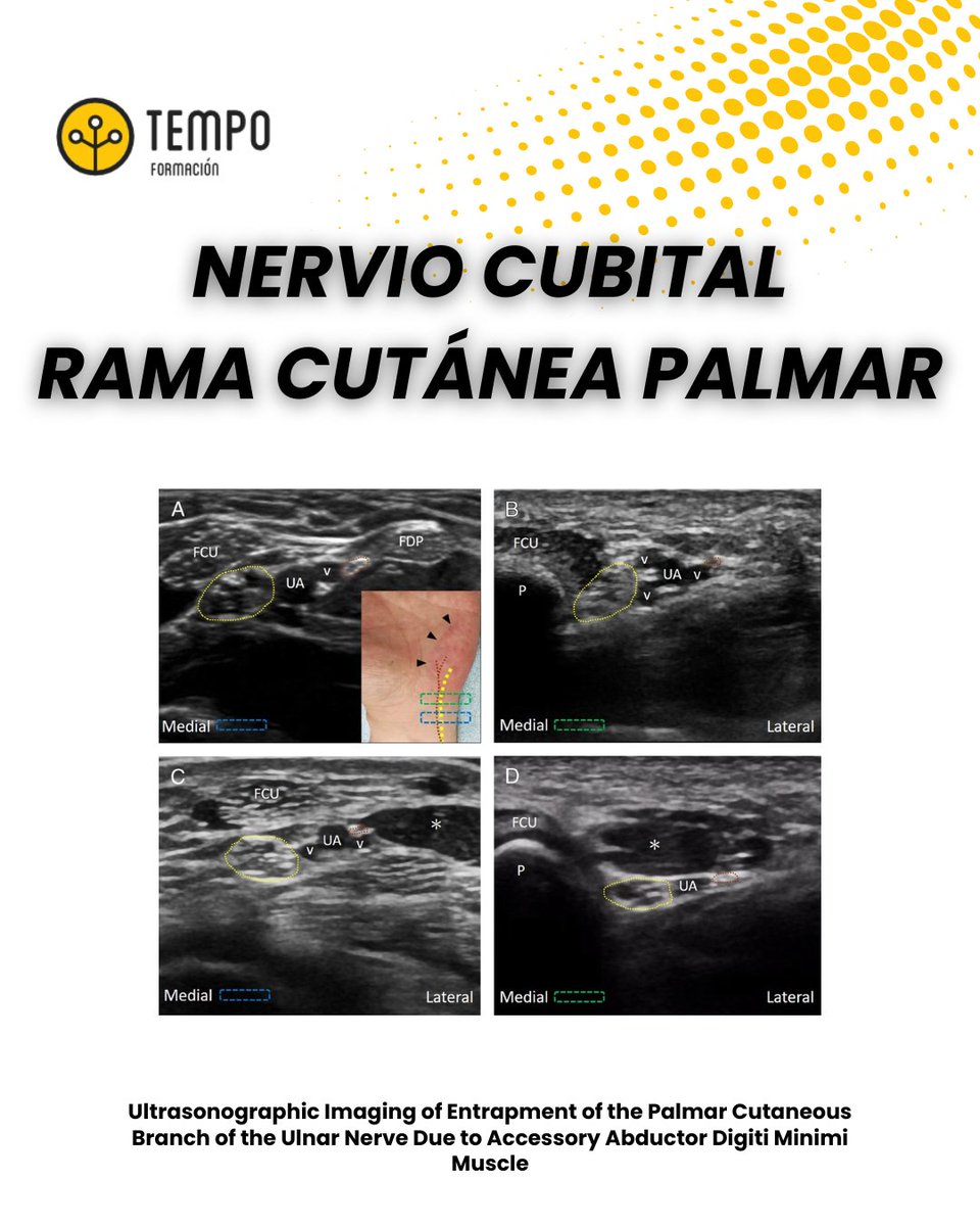 Tempo Formación tweet media