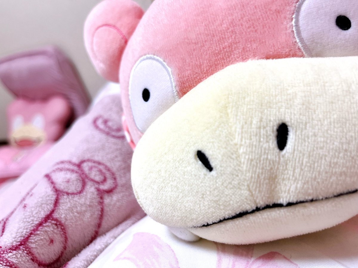 やどのん (@yadonon25) / Posts / X