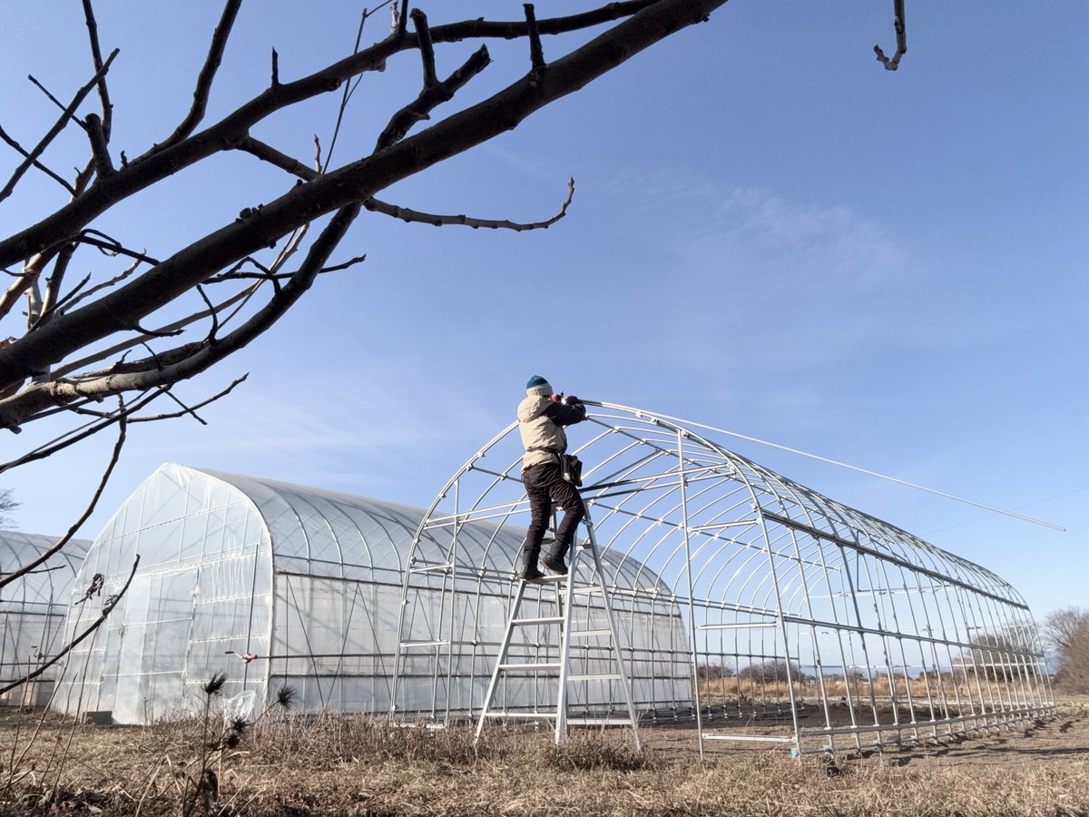 柴山斐子 本庄やなぎの会 tweet media