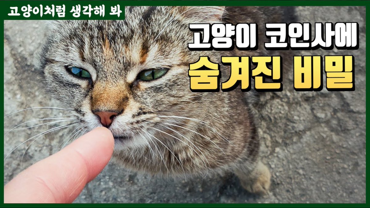 편견없는 이성민
사람아기한테 고양이코인사함