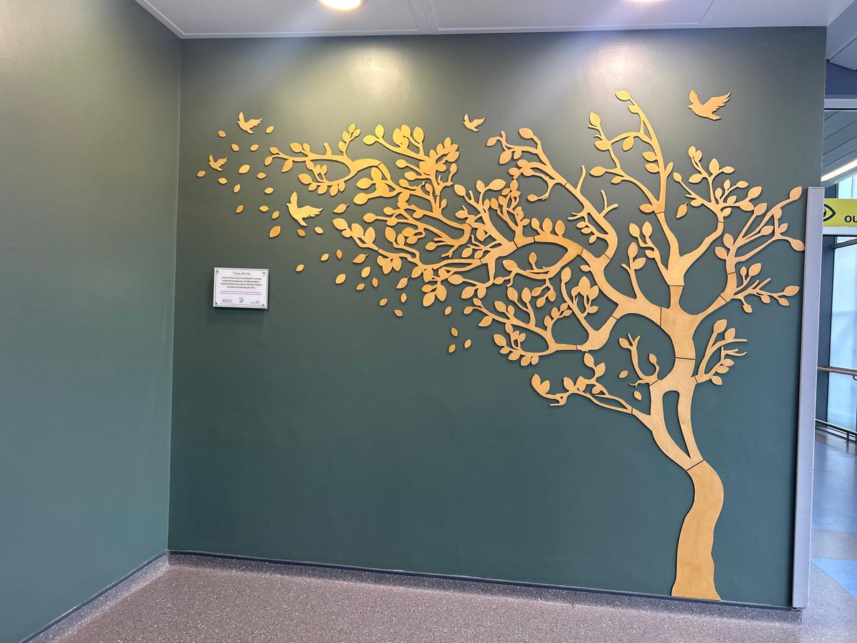 Northern Ireland Organ Donation Team tweet media