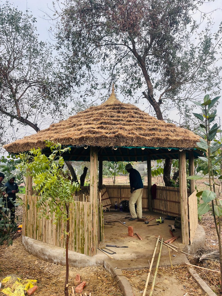 Vikrant Tongad Environmentalist tweet media