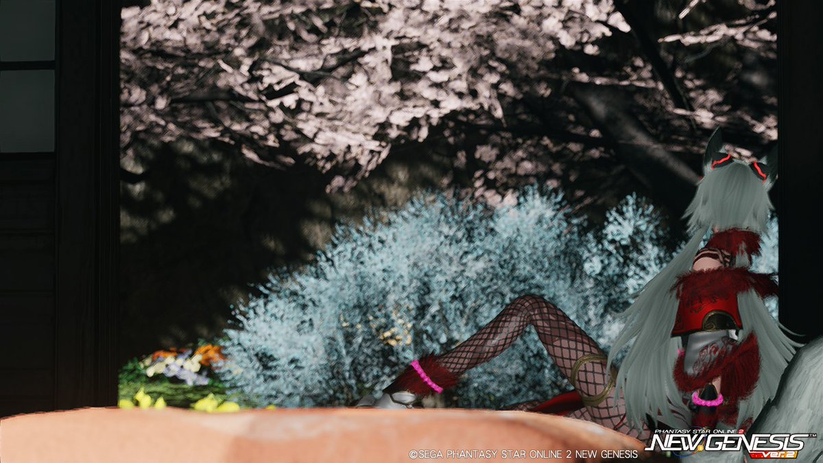 リファルス_PSO2@Ship10 tweet media