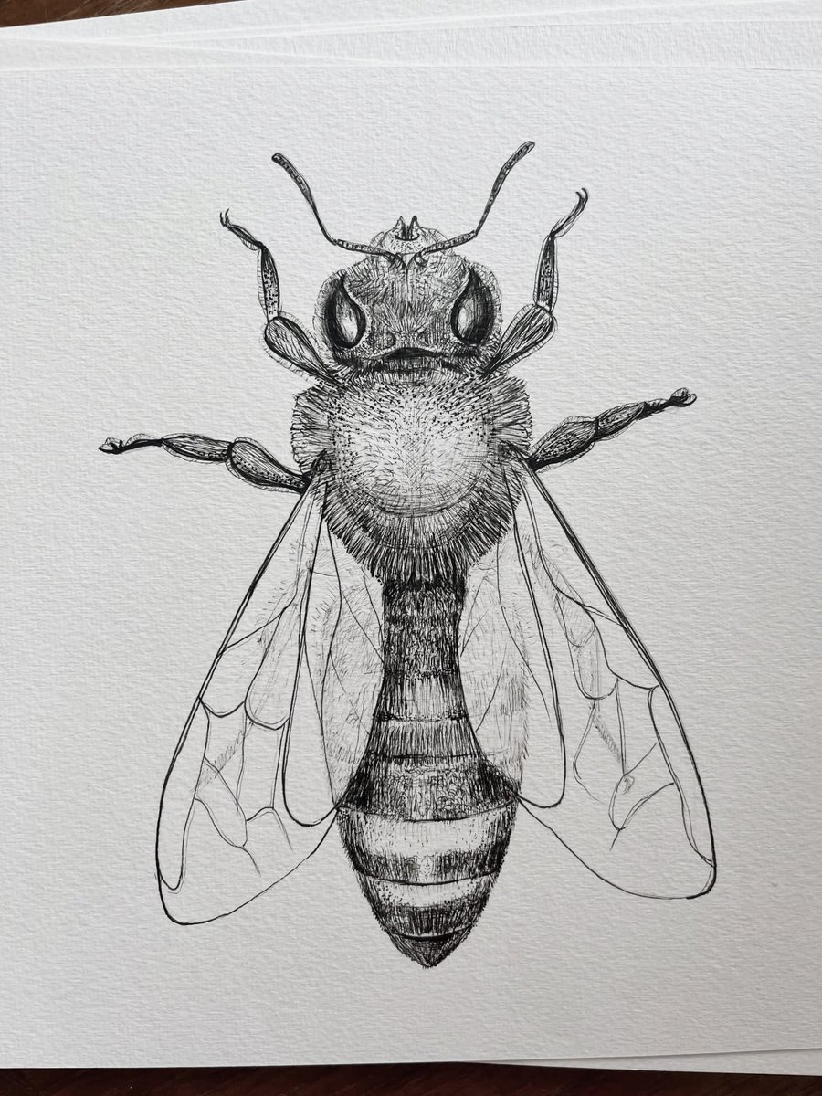 Paul Harfleet tweet media