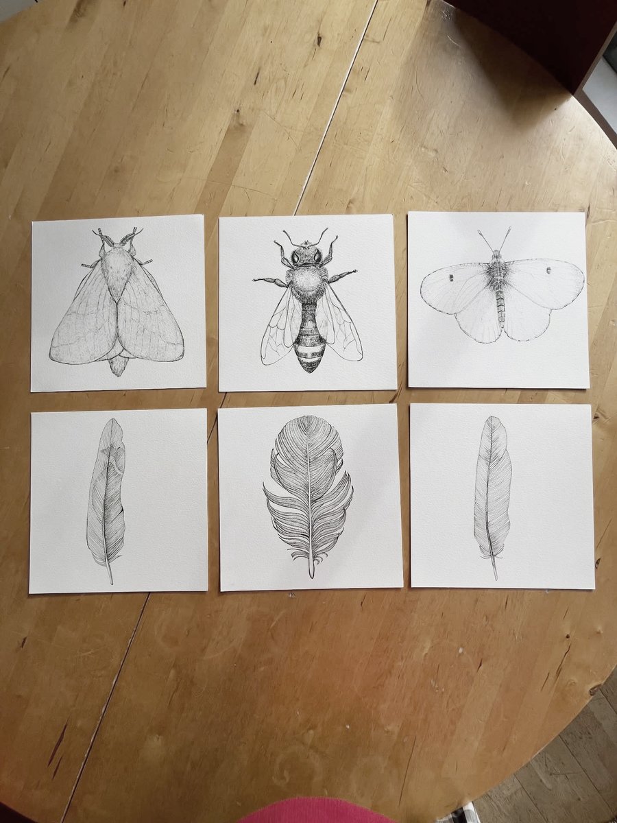 Paul Harfleet tweet media