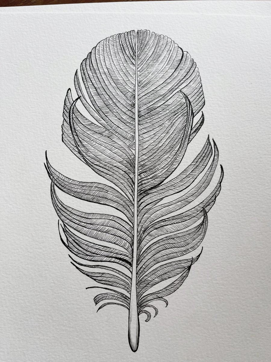 Paul Harfleet tweet media