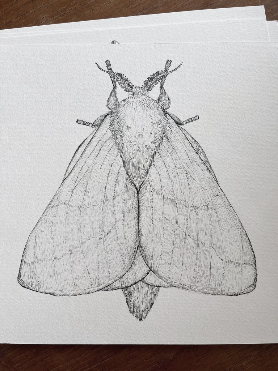 Paul Harfleet tweet media