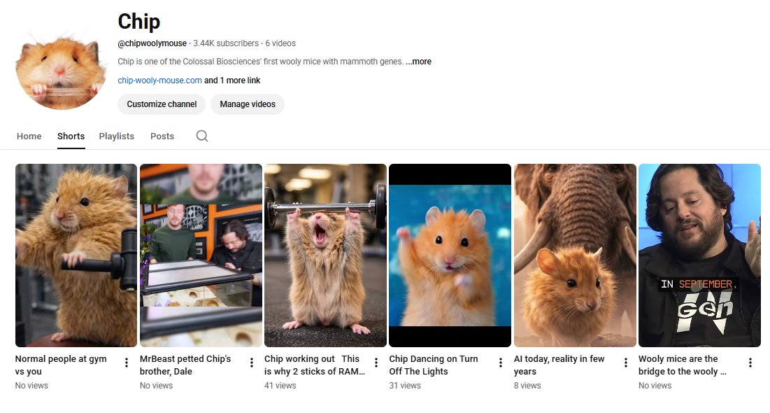 One way or another, we go viral.

youtube.com/@chipwoolymouse  
tiktok.com/@chipwoolymouse

We are not stopping just because the attention has gone to other narratives. It will come back to us sooner or later.

This is long-term lore. The mammoth is coming, and Chip was one of the first