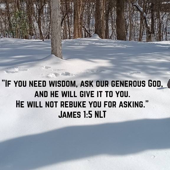 Terry Laudett (@terrylaudett) on Twitter photo 