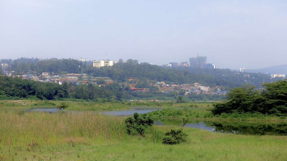 ywprwanda's tweet photo. Happy International Wetlands Day! 🌿

Today we joined the national celebration at Gikondo Wetland, where 1,450 trees were planted through umuganda to support this wetland’s restoration. https://t.co/YSml6TkUS5