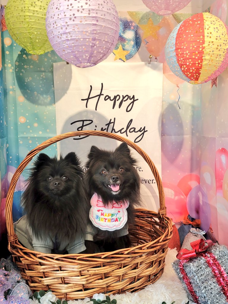 黒ぽめのエルとライ tweet media