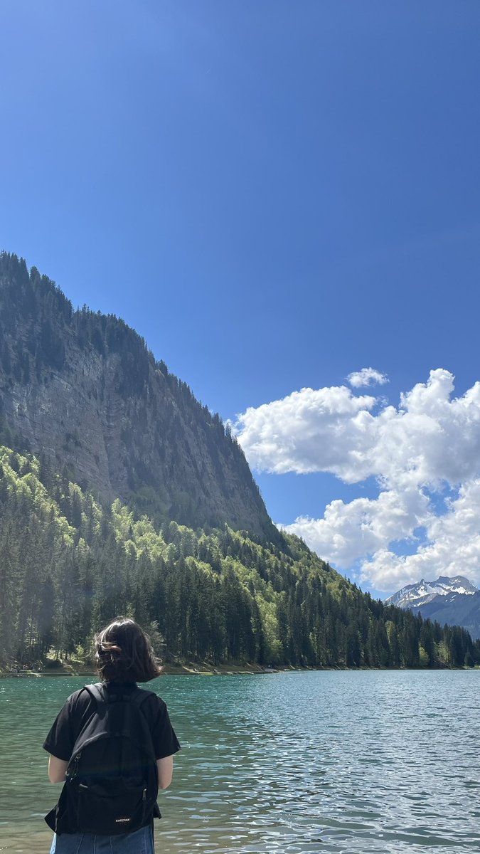 lou ✮꙳⋆☽ tweet media