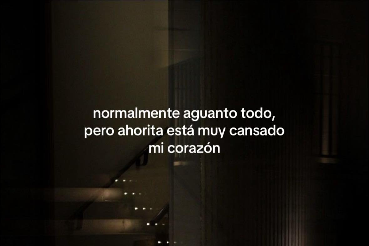 BANDIDOS tweet media