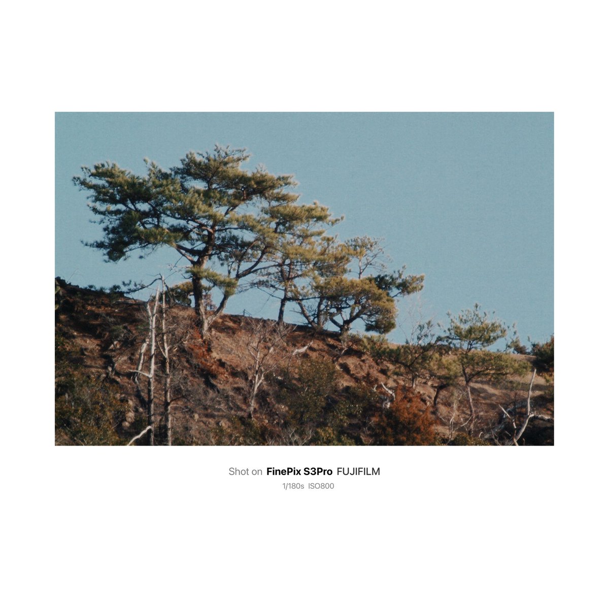 h_maaaaa48815's tweet photo. ⛰️
#fujifilm
#s3pro https://t.co/WZFTy050Lh