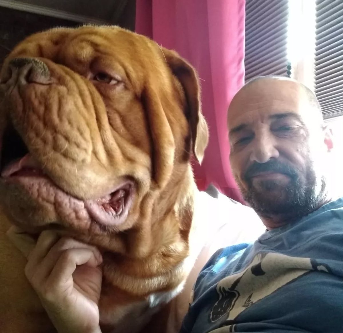 mafia_mastiff's tweet photo. Good morning friends I've said my prayers my cup of morning life is filled with Patriotism and my boys are by my side. Avoid people that act like a victim in a problem they created. God is good ๐ Trump's Our POTUS ๐๐โค๏ธ๐บ๐ธ๐พ
#GodIsGoodAlways
