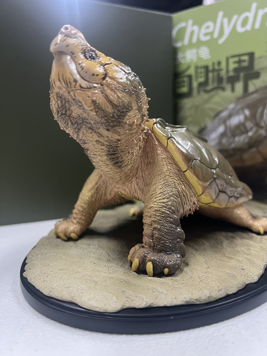 動物の惑星〜アニマルプラネット WF 6-05-08 (@animal2023jp) / Posts / X