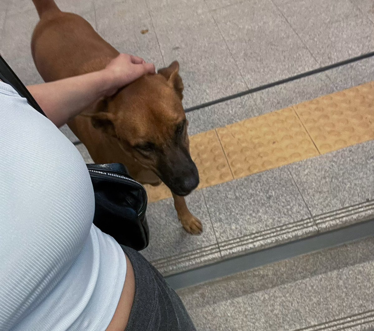 csp.babyp. tweet media