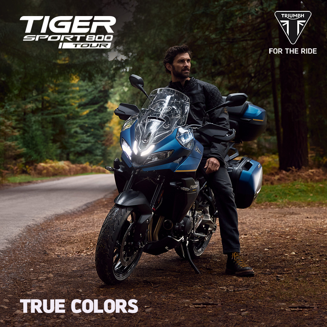 Triumph IT Official tweet media