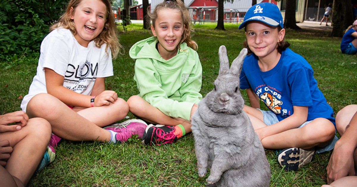 Musée de l’agriculture et de l’alimentation 🇨🇦 tweet media
