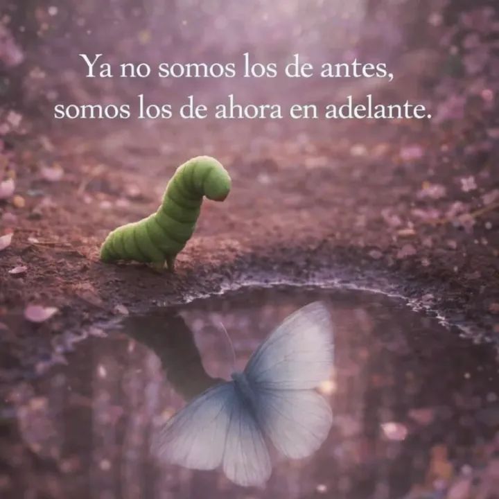 Maravillosa jornada💜