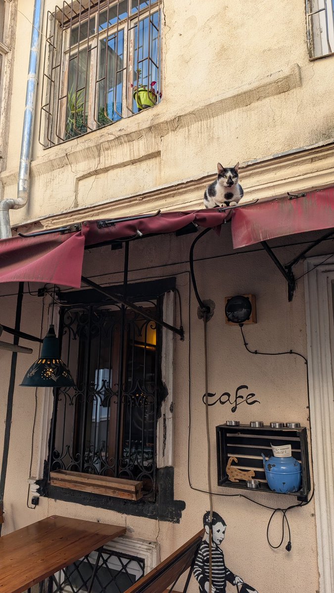 Dave Denlinger tweet media