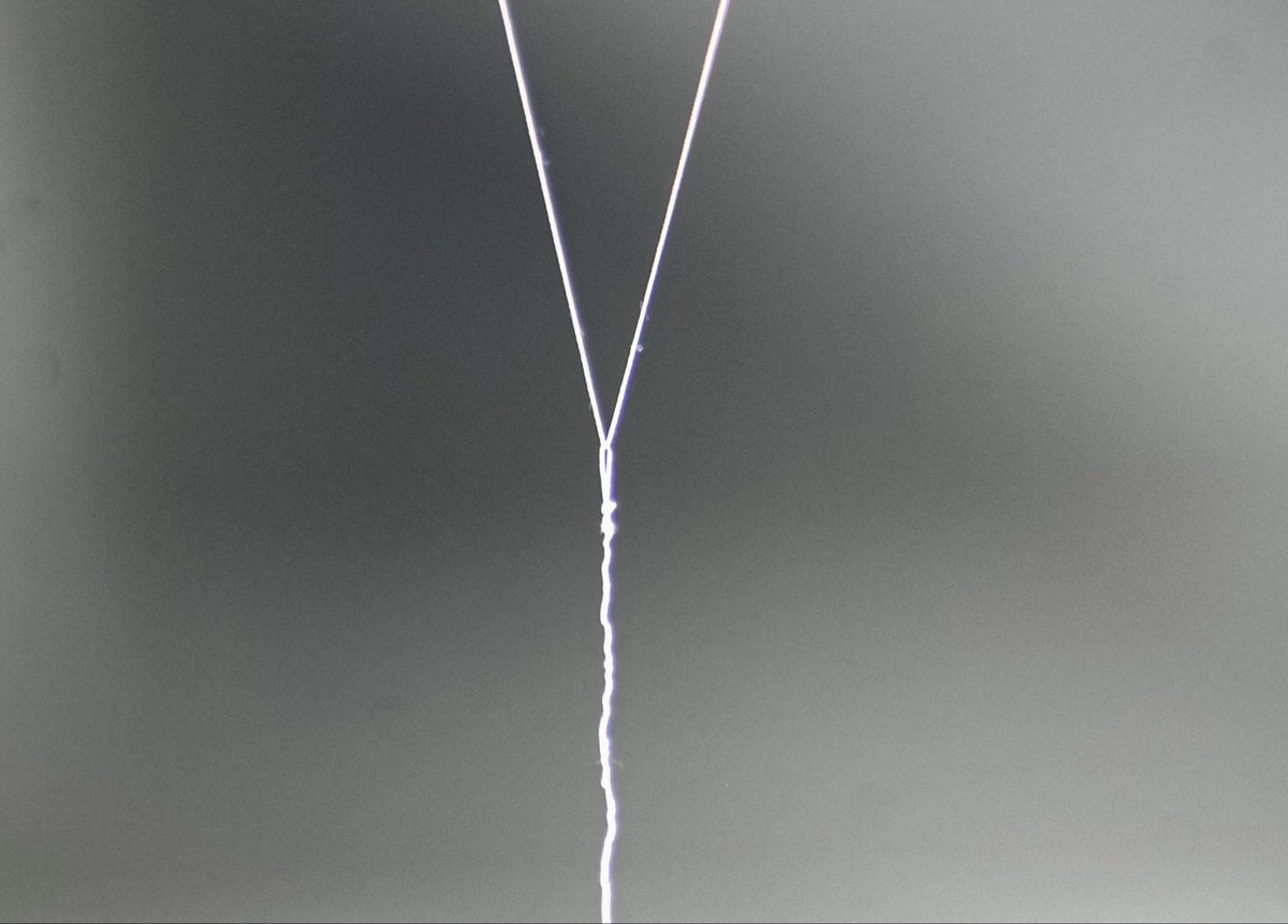 Knotted Thread sakura-pink h220cm-west-northwest-east-southeast(distance of 50cm)
【開館30周年記念　MOTコレクションマルチプル_セルフ・ポートレイト／中西夏之　池内晶子 ―弓形とカテナリー】

#東京都現代美術館　#MOTコレクション #池内晶子 #akikoikeuchi