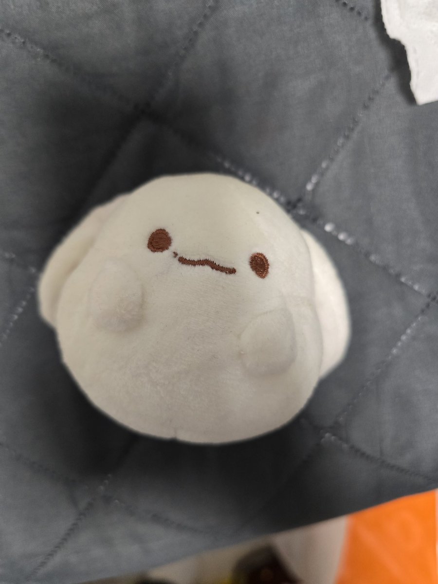 gerae0530's tweet photo. 백현인형

토끼인형입니다 보관만햇어요 

1.0 https://t.co/USzYJ2xKLX