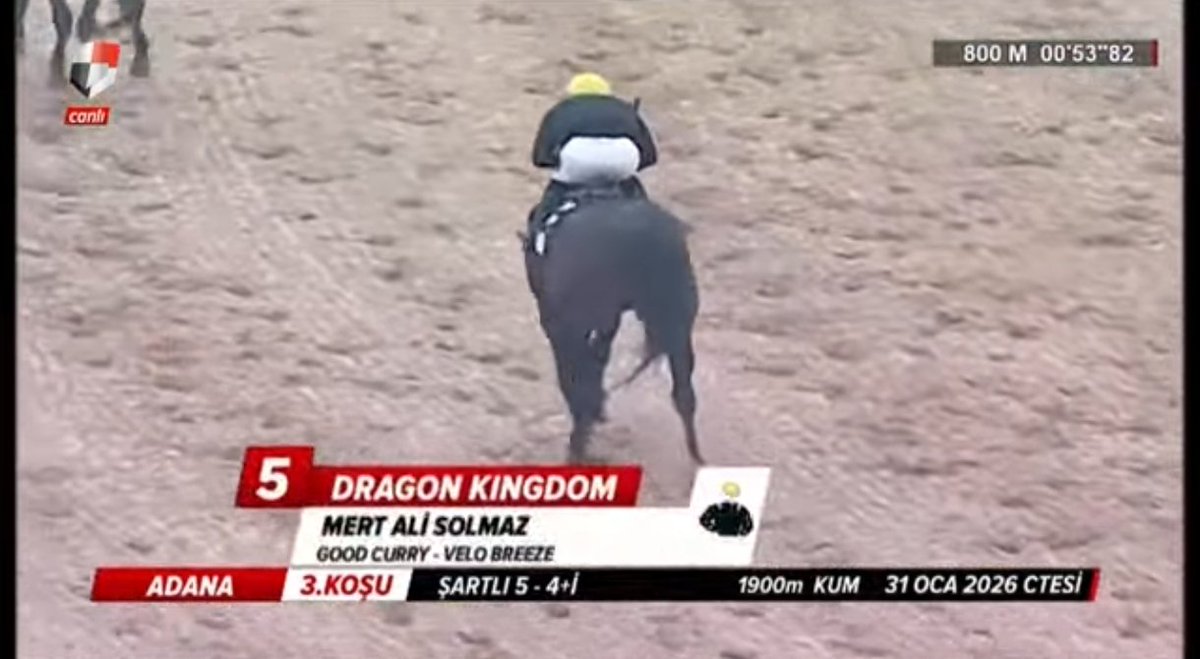 Allah'ına kurban #DRAGON