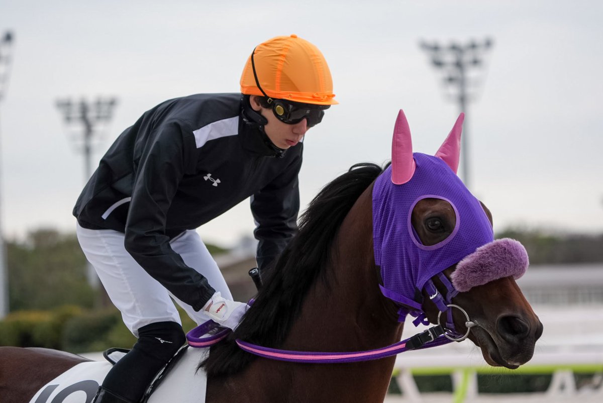 まるしぇ tweet media