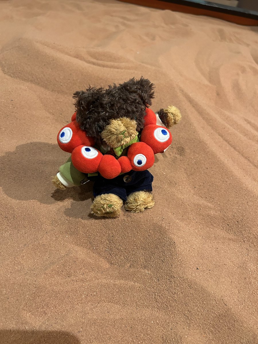 2a_mink3gone's tweet photo. 徳島県に行ってきました!
去年、万博で感動したヨルダンパビリオンとドイツパビリオン…
あの赤い砂や、ゆったり座ったソファ……。
まさか徳島で再会できるなんて、懐かしすぎて胸がいっぱいです!✨
#princecat
#プリンスキャット https://t.co/MZtWcTtMVh